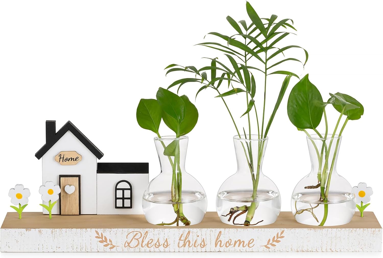 Glasseam Estações de propagação terrário de plantas: plantador hidropônico exclusivo presentes de inauguração de casa nova casa para mulheres e homens - frascos de propagação de vidro com suporte de 1 Glasseam Estacoes de propagacao terrario de plantas plantador hidroponico