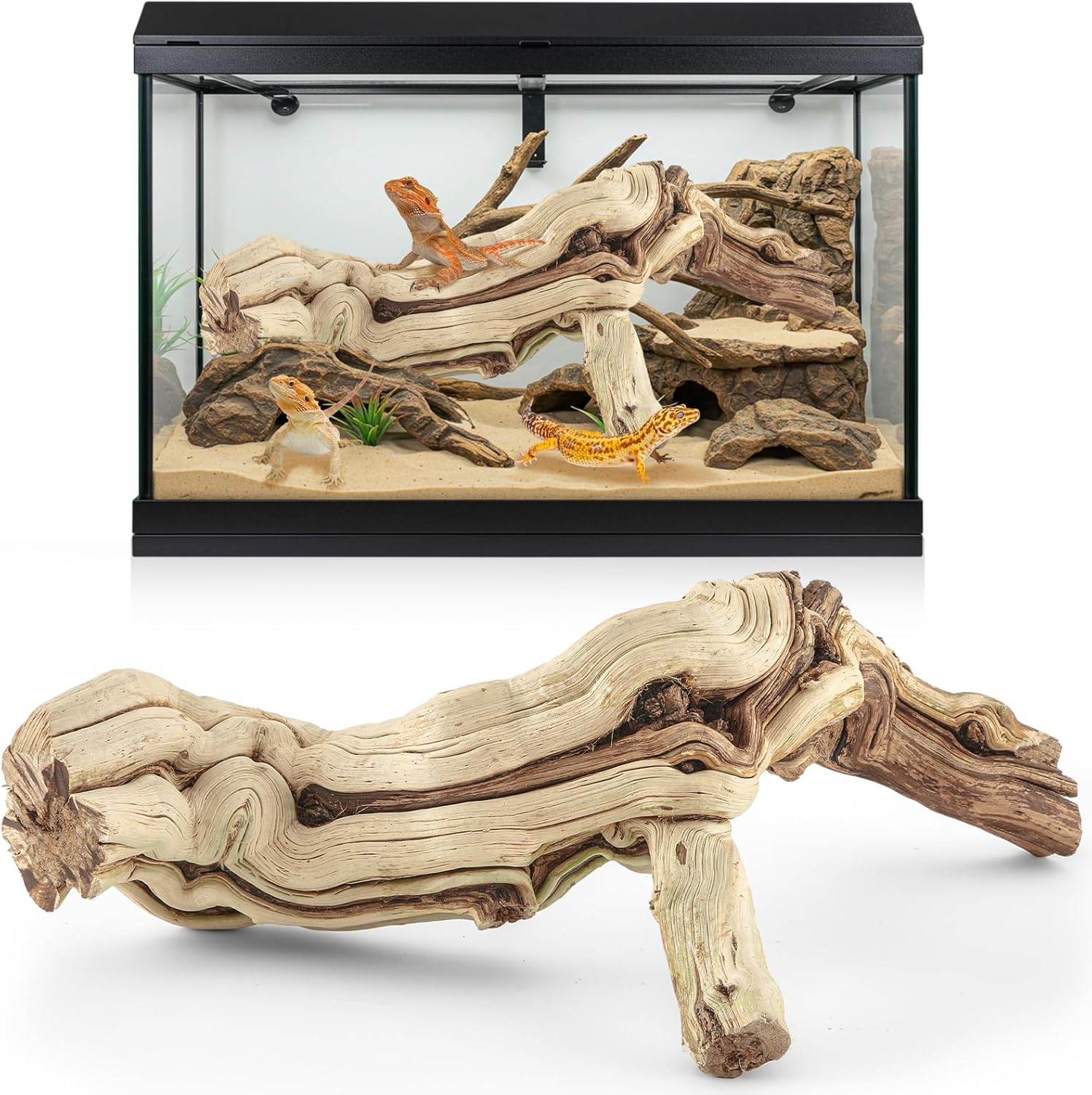 Janinka Ramo de réptil de madeira grande de 35,5-43 cm de comprimento para dragão barbudo de madeira flutuante réptil escalada habitat decoração para terrário árvore tronco ornamento gecko sapo 1 Janinka Ramo de reptil de madeira grande de 355 43 cm