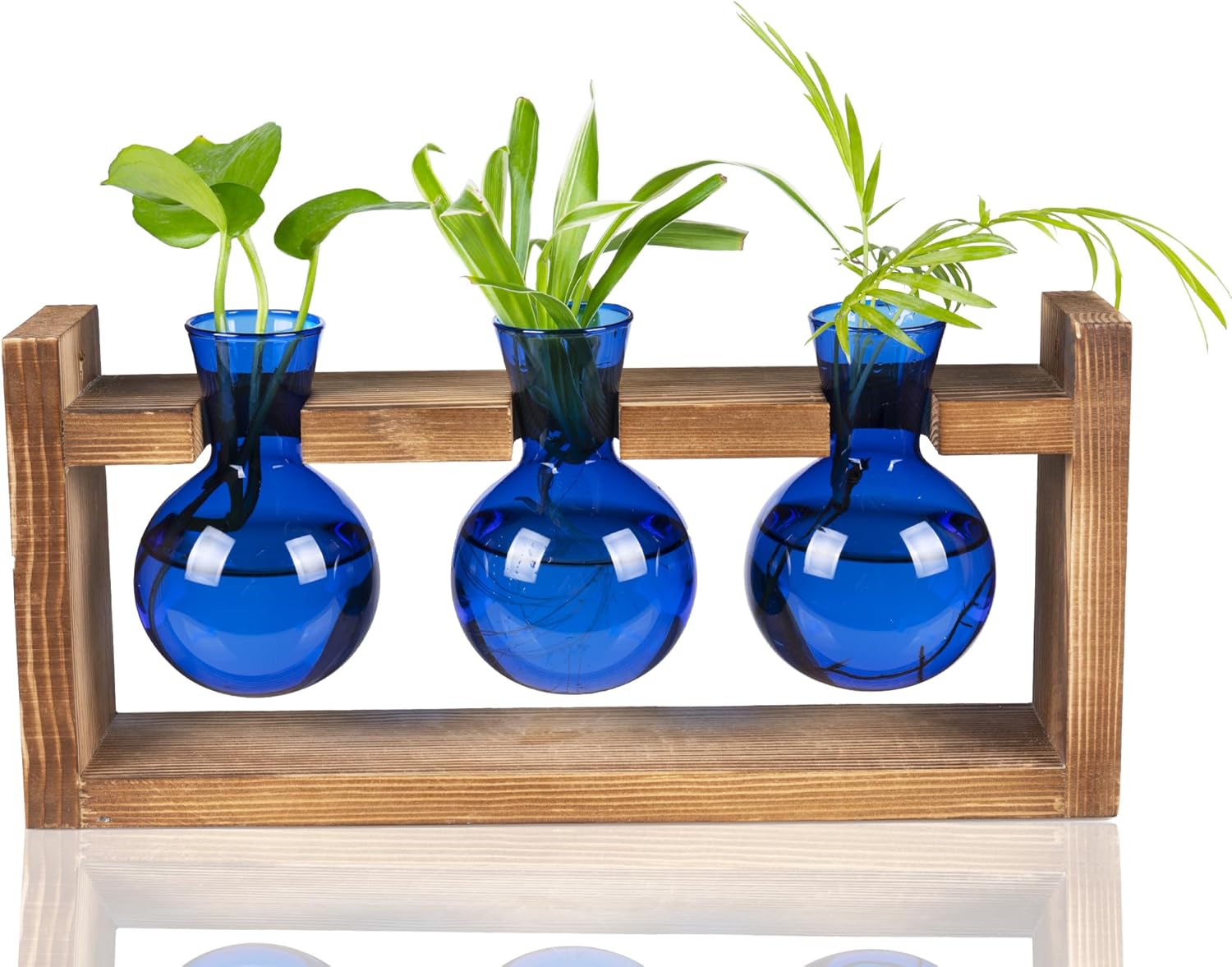 Kingbuy Estacao de propagacao de terrario de plantas de vidro