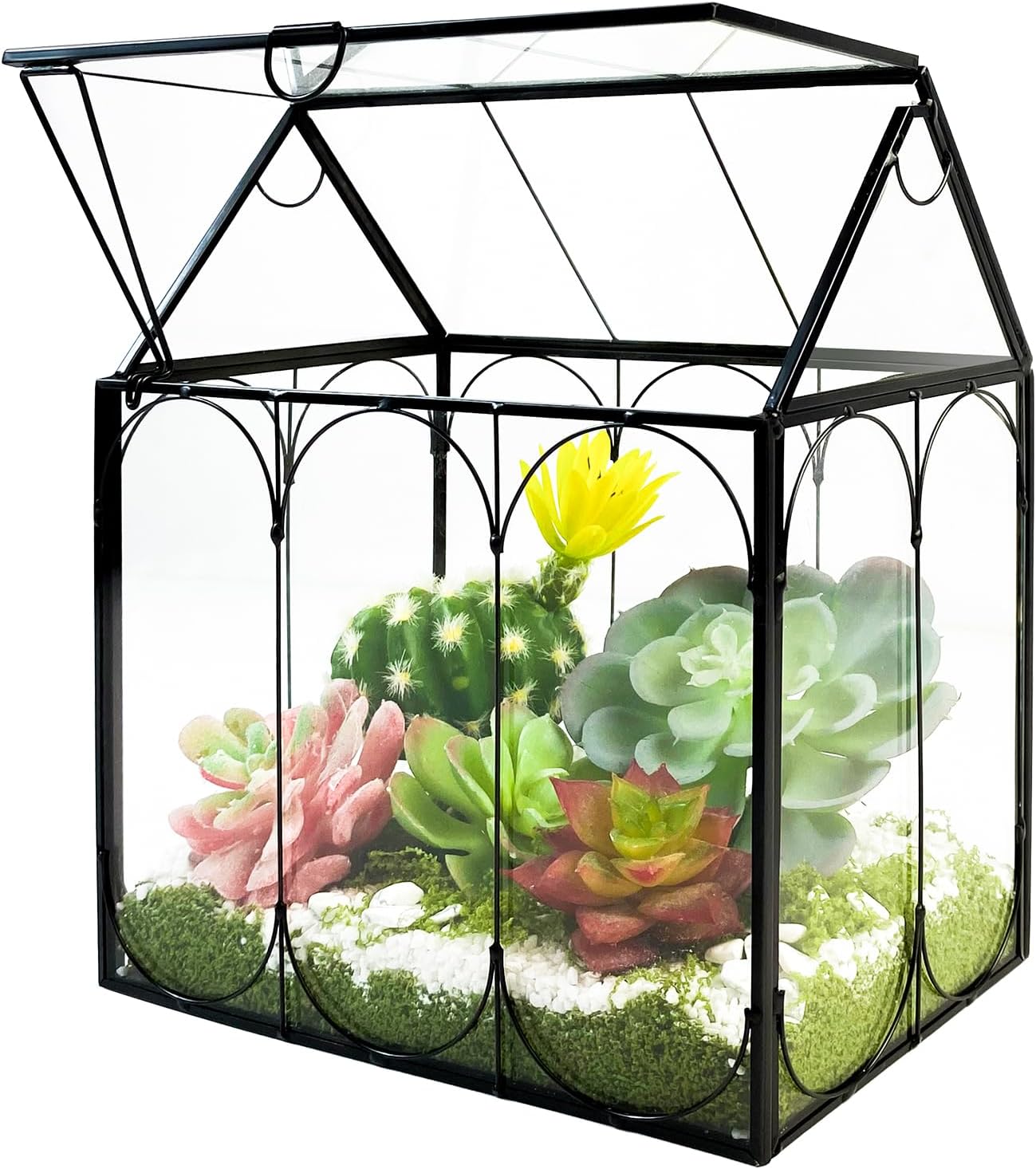 Kit de terrario de plantas pote grande de terrario de