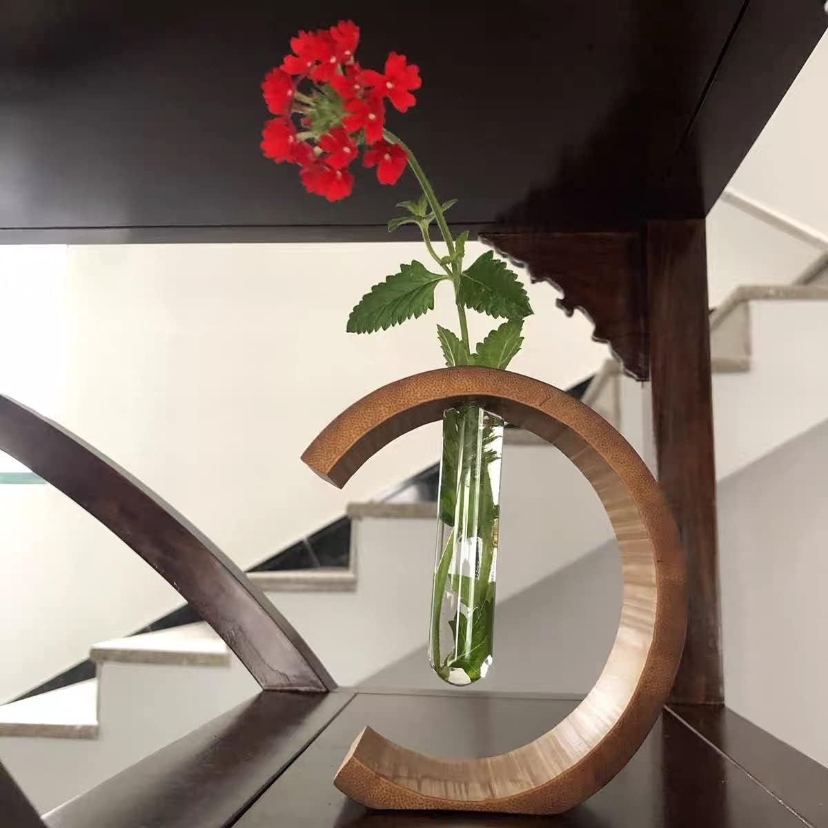 Kit de terrarios de plantas suporte hidroponico vaso de vidro