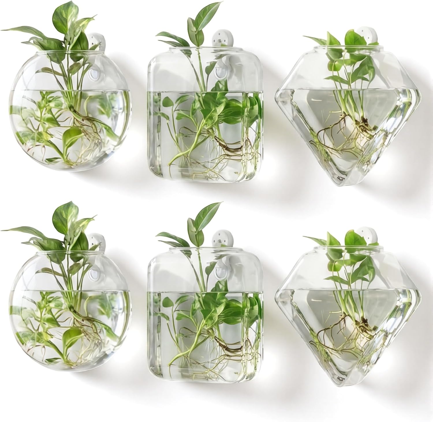 LemonRoad Vaso de vidro transparente para pendurar na parede 6