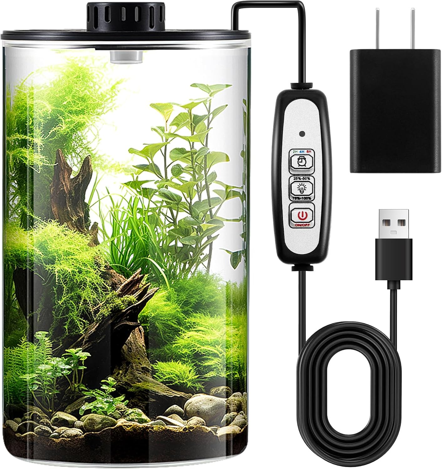 Maxdot Kit de terrario de plantas de vidro com luz