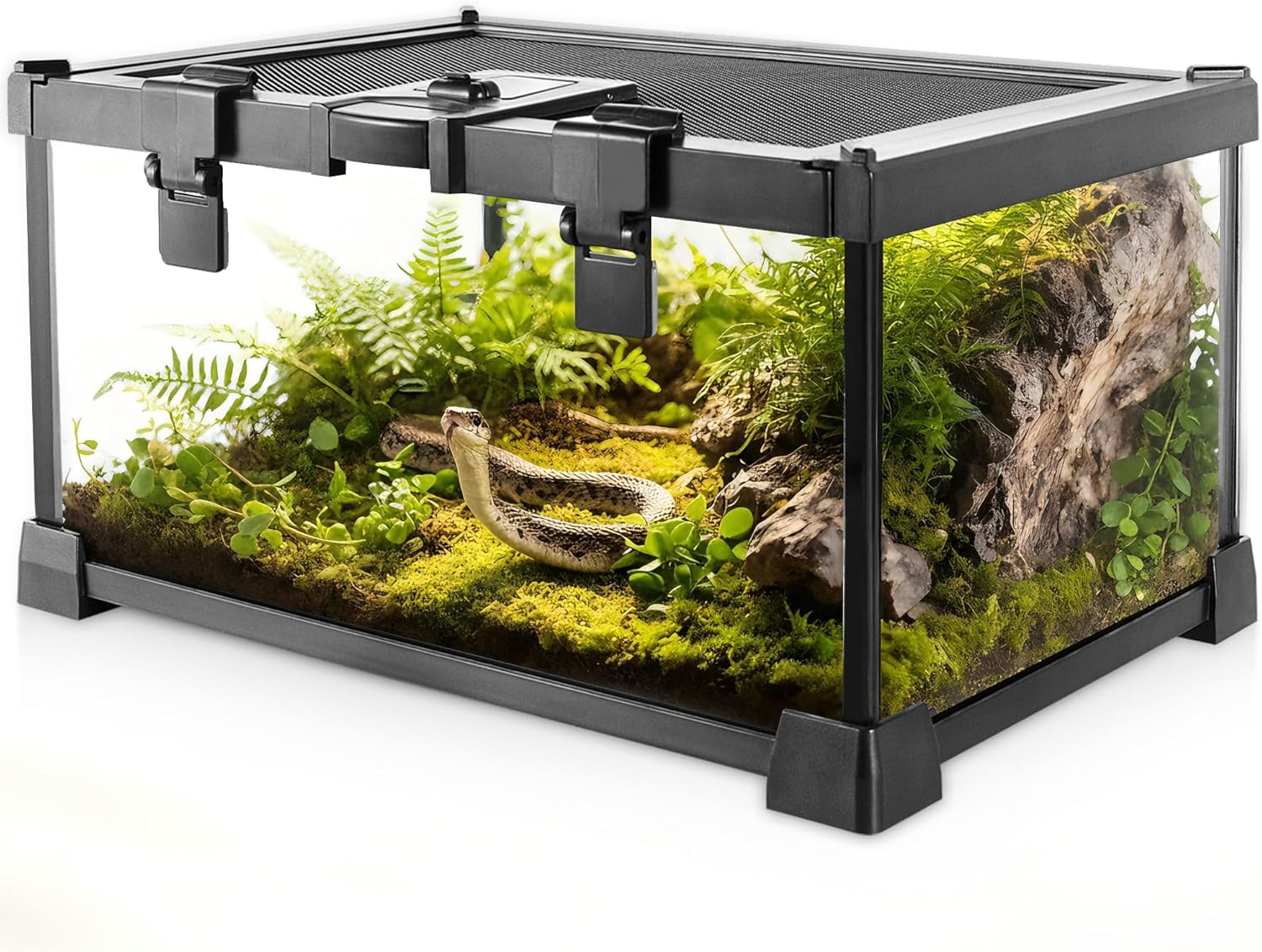 Mini viveiro de terrário de vidro para répteis 30,5 x 20,3 cm x 15,8 cm, gaiola de habitat de vidro para anfíbios pequena com compartimento de alimentação e fivela de trava de caixa 1 Mini viveiro de terrario de vidro para repteis 305