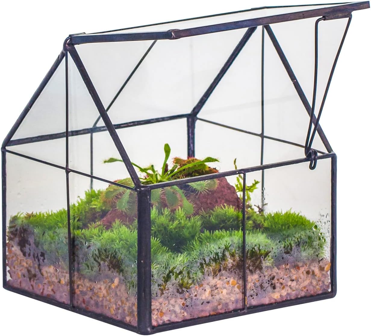 NCYP Mini terrário geométrico de vidro com tampa - 10,8 cm x 10,8 cm x 12,5 cm, vaso pequeno em forma de casa para plantas suculentas - feito à mão, decoração de mesa de jardim, escritório, preto 1 NCYP Mini terrario geometrico de vidro com tampa 108