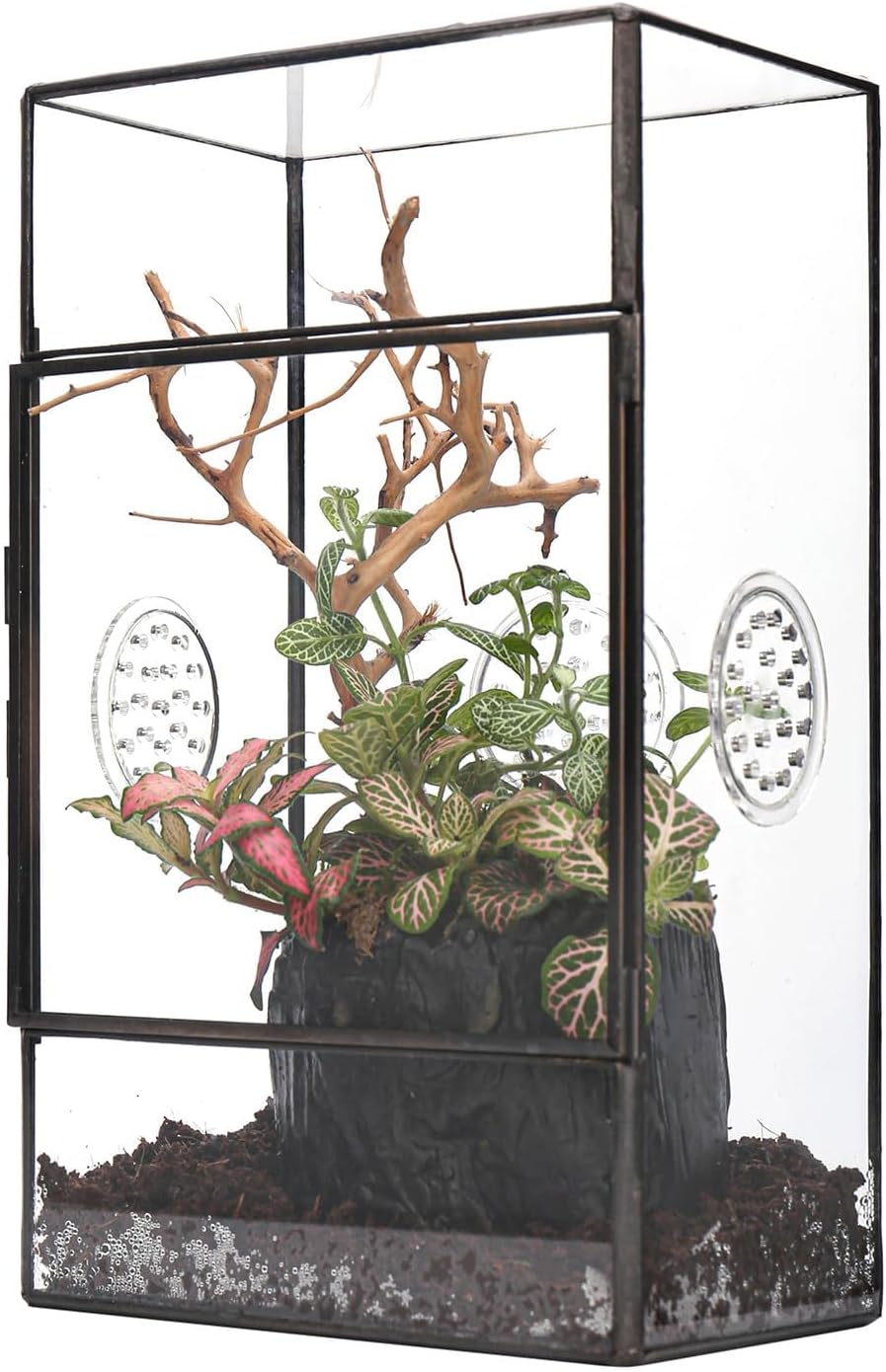 NCYP Terrario de vidro com porta e tres orificios de
