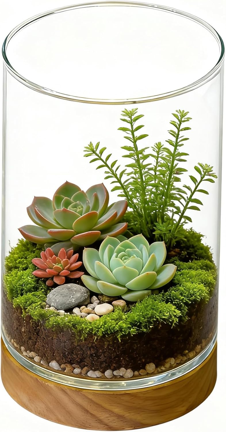 Tanque de peixes Betta pequeno com luz quente e decoracao