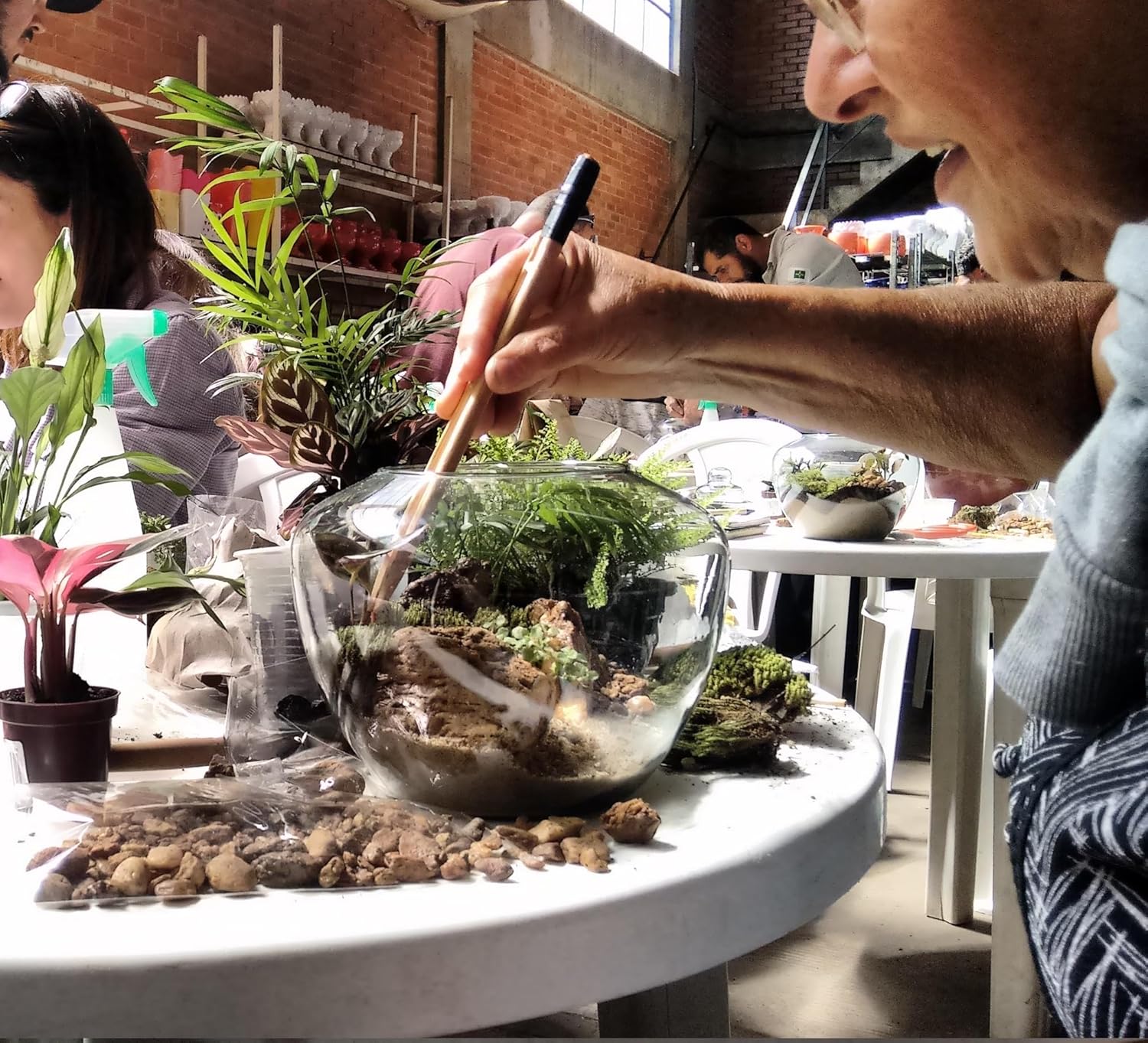 Terrário Fechado - Ecossistema: FAÇA VOCÊ MESMO SEU TERRÁRIO FECHADO - ECOSSISTEMA 1 Terrario Fechado Ecossistema FACA VOCE MESMO SEU TERRARIO FECHADO