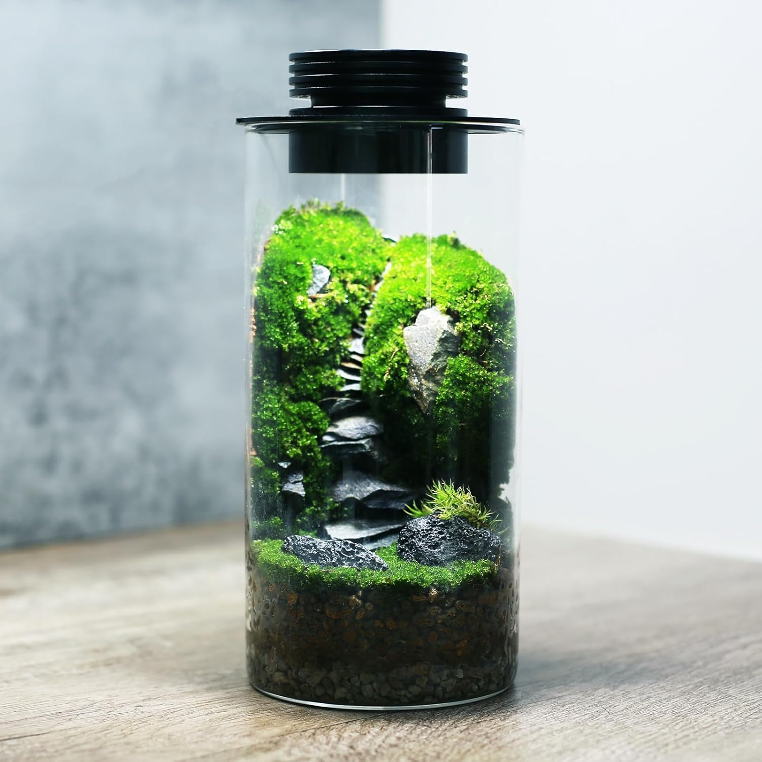 Terrario de Planta de Vidro de Mesa com Luz de