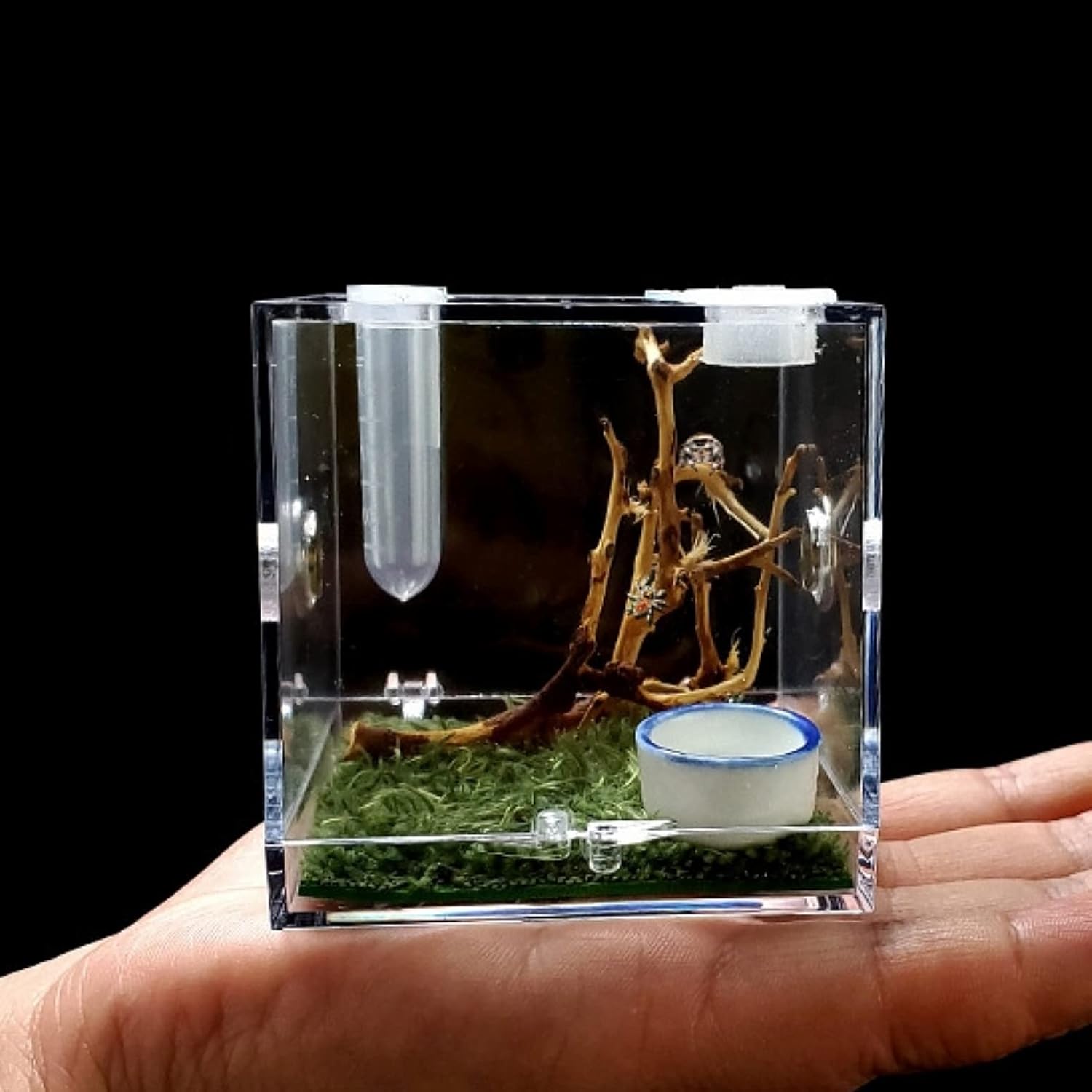 Terrário de aranha, caixa de reprodução de répteis de acrílico com pinça conta-gotas, gaiola de caracol, caixa de críquete arbórea, habitat de tarântula arbórea 1 Terrario de aranha caixa de reproducao de repteis de acrilico