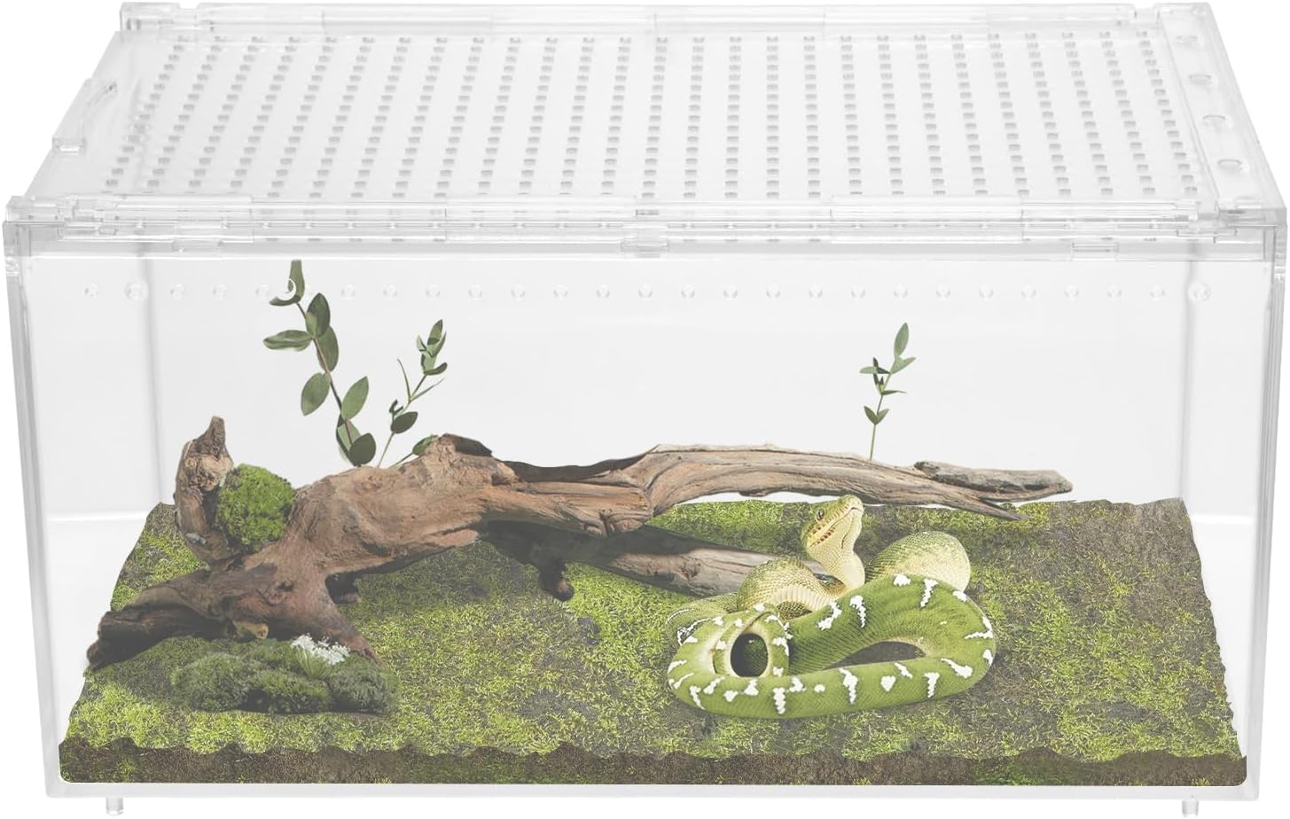 Terrário de répteis transparente respirável caixa de reprodução de répteis recipiente multiuso para cobra tarântula caranguejo eremita aranha pulando (G) 1 Terrario de repteis transparente respiravel caixa de reproducao de repteis