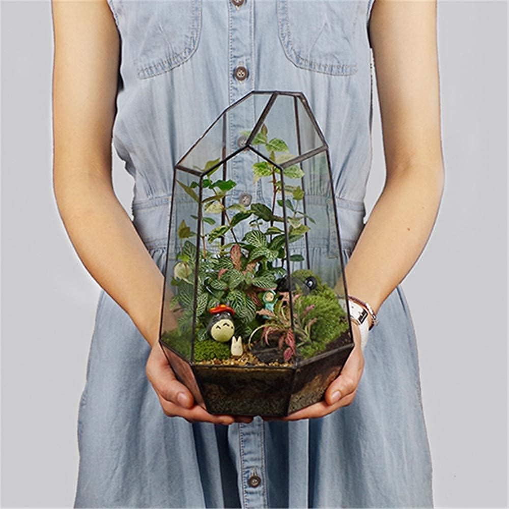 Terrario de vidro geometrico para plantas de interior vaso transparente