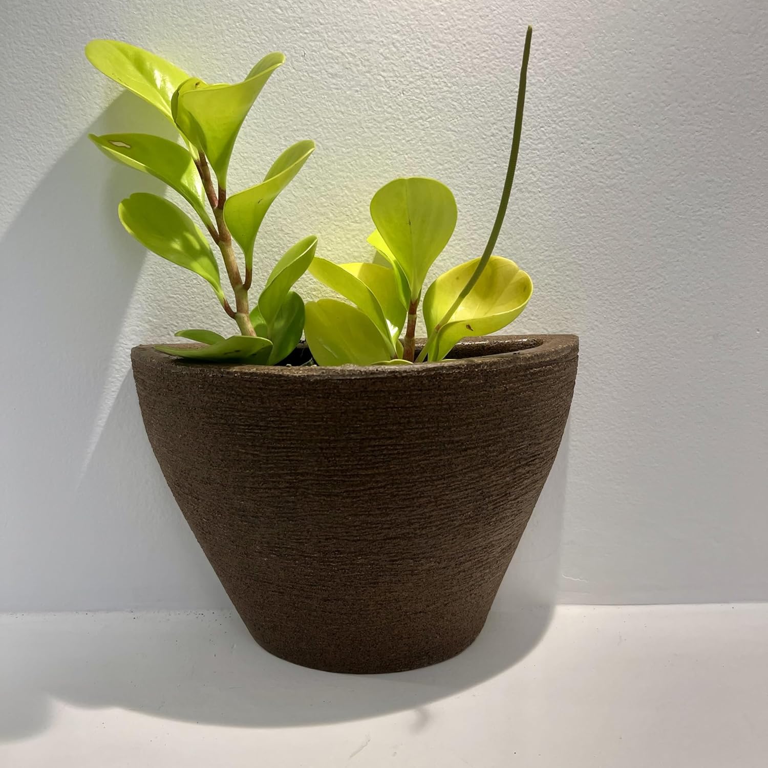 VASO POLIETILENO DE PAREDE DECORATIVO PPLANTASJARDINSESCRITORIOS LUXO MARROM