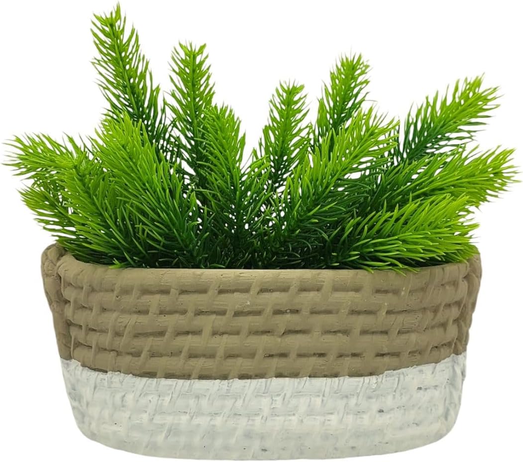 Vaso Cachepot Grande Cimento Modelo Cesta Rustico com Planta 1 Vaso Cachepot Grande Cimento Modelo Cesta Rustico com Planta