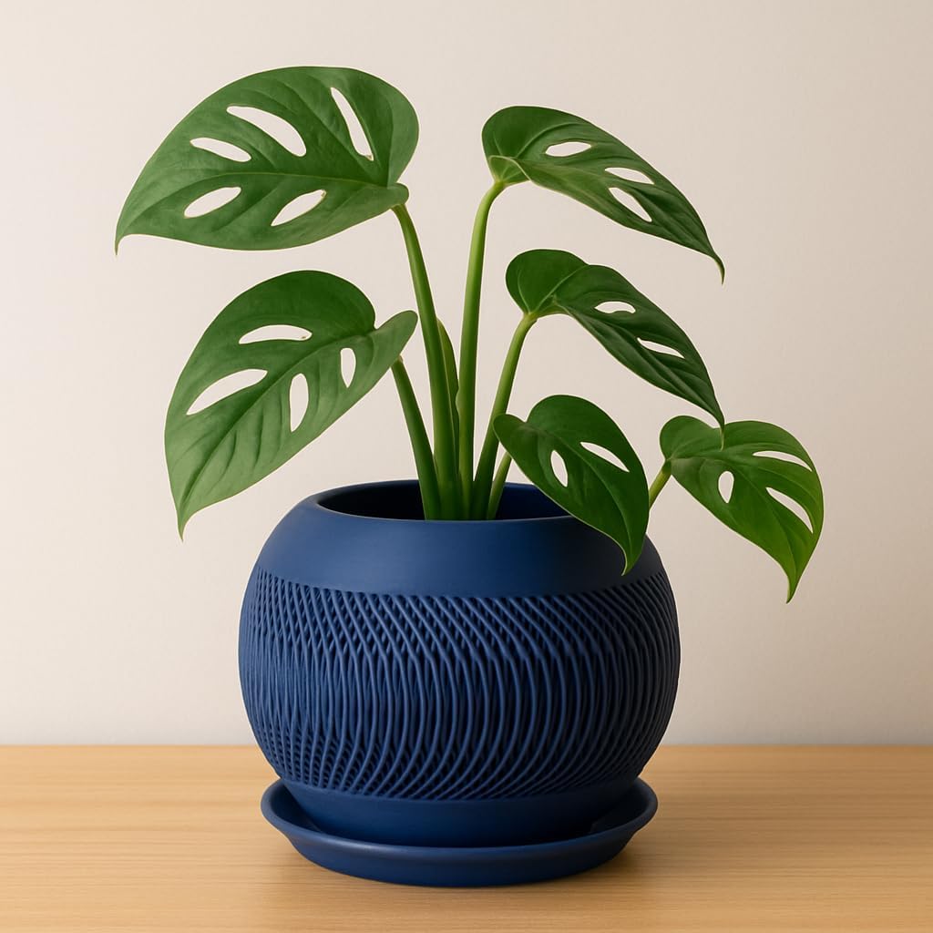 Vaso Decorativo Moderno com Textura, Azul Marinho, Redondo, com Prato, Design Contemporâneo, para Plantas de Interior 1 Vaso Decorativo Moderno com Textura Azul Marinho Redondo com Prato