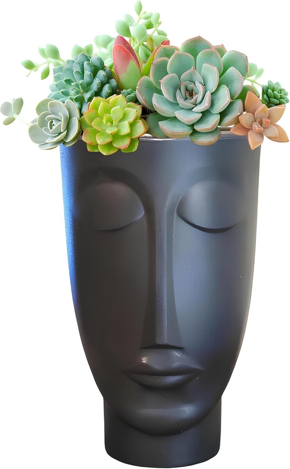 Vaso Para Planta Face Rosto Homem N24 Nutriplan Preto