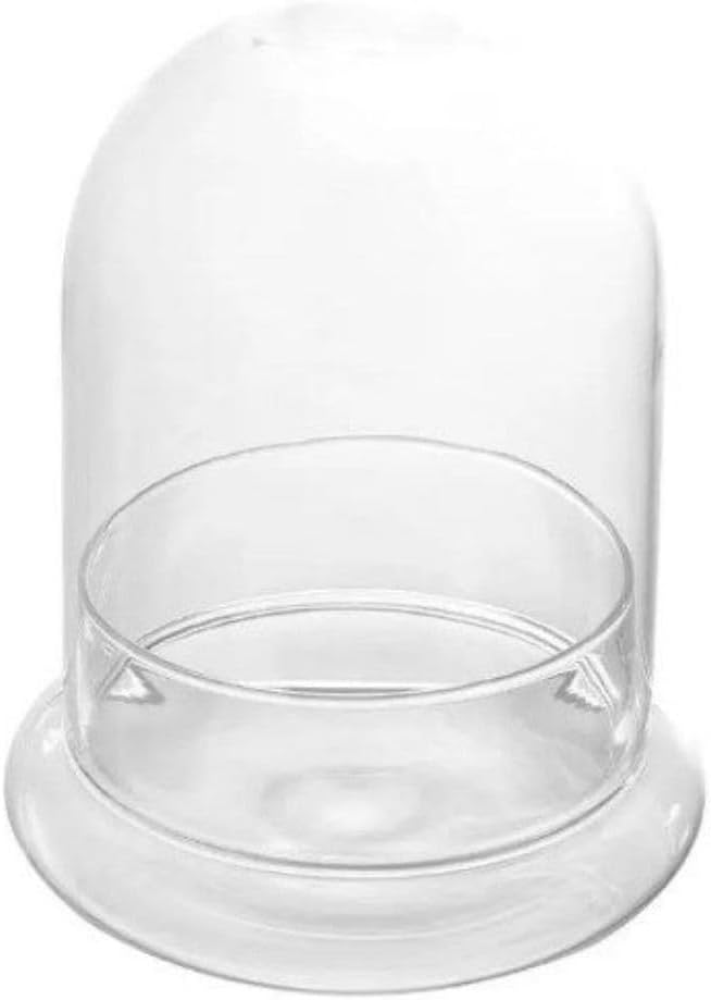 Vaso de micropaisagem terrario de plantas de vidro pequeno cloche